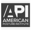 American Posture Institute logo featured in VibePlate's partner section